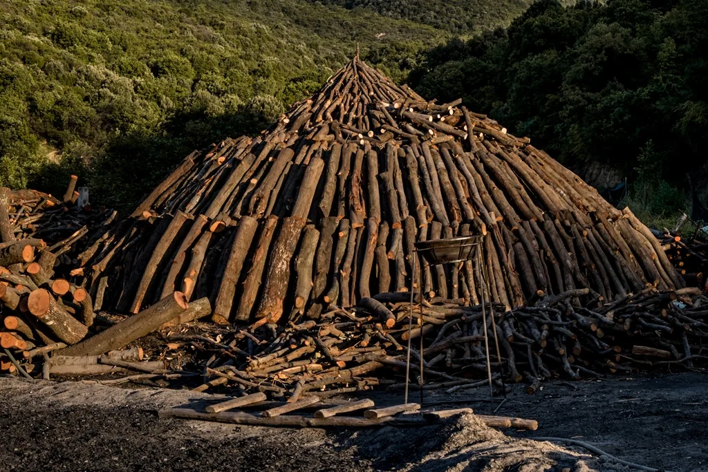 Charcoal production site