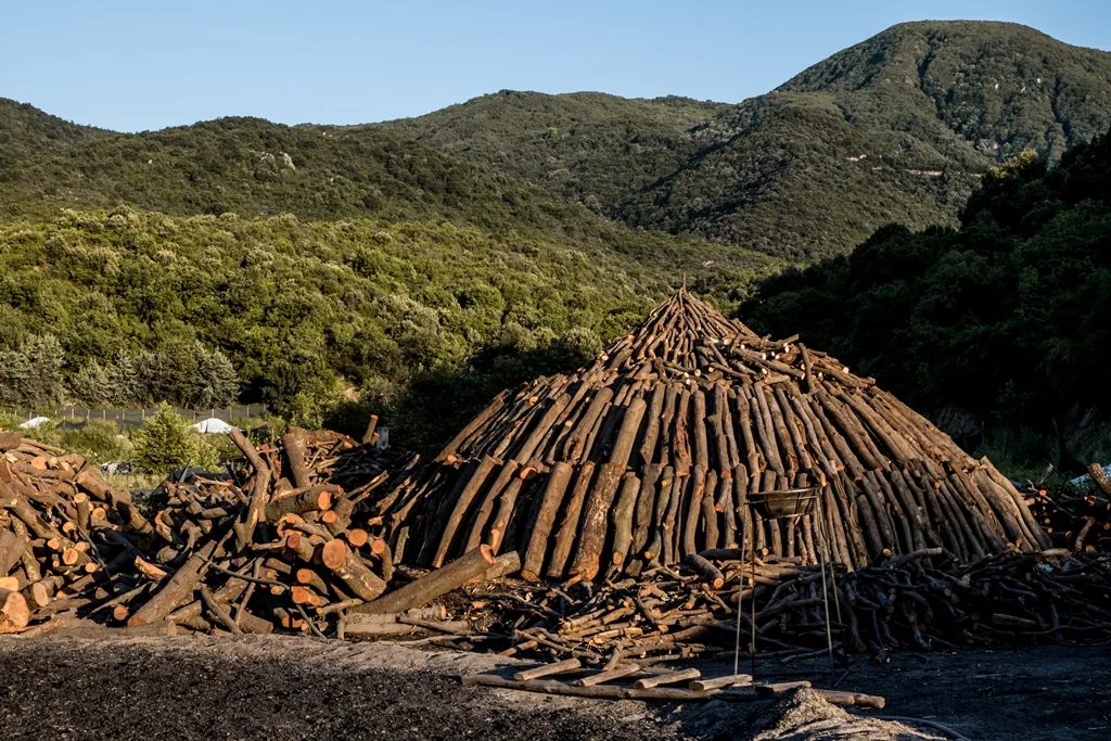 Charcoal production in northern Greece